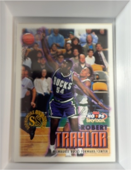 1999-00 Skybox NBA Hoops #124 Robert Traylor — front