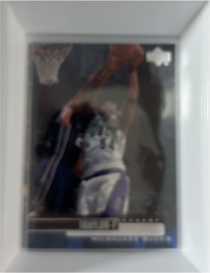 1993-94 Upper Deck #484 LaPhonso Ellis — front