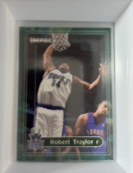 1999-00 Skybox Impact #14 Robert Traylor — front