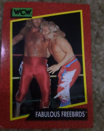 1991 Impel WCW #121 Fabulous Freebirds — front