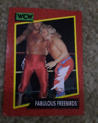 1991 Impel WCW #121 Fabulous Freebirds — front