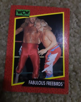 1991 Impel WCW #121 Fabulous Freebirds — front