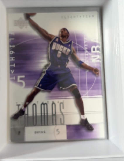 2001-02 Upper Deck Flight Team #35 Tim Thomas — front