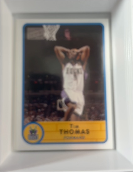 2003-04 Topps #80 Tim Thomas — front