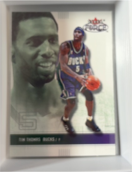 2001-02 Fleer Force #5 Tim Thomas — front
