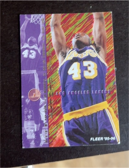 1995-96 Fleer #233 George Lynch — front