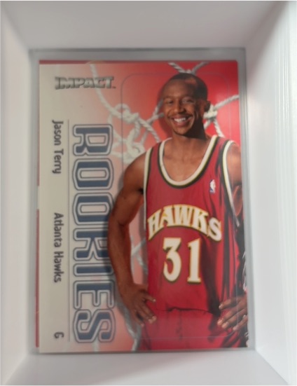 1999-00 SkyBox Impact #163 Jason Terry Rookie — front