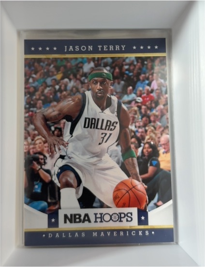 2012-13 Panini NBA Hoops #41 Jason Terry — front