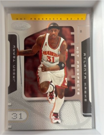 2002-03 Hoops Hot Prospects #31 Jason Terry — front