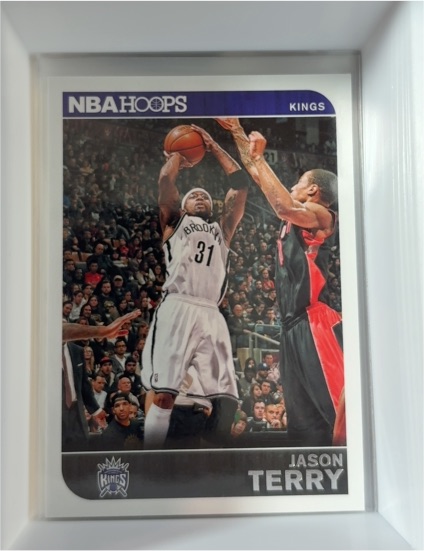 2014-15 Panini NBA Hoops #246 Jason Terry — front