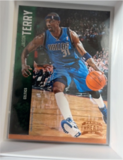 2012-13 Panini Threads #25 Jason Terry — front