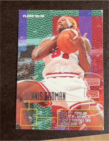 1995-96 Fleer #213 Dennis Rodman — front
