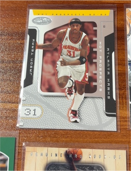 2002-03 Fleer Hot Prospects #31 Jason Terry — front
