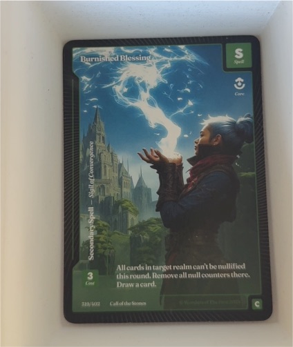 Call of the Storm #389 Burnished Blessing — front