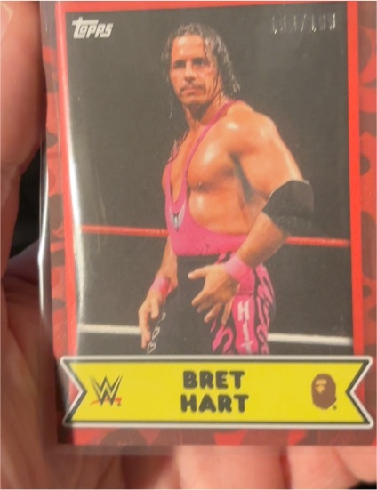 2025 Topps WWE x BAPE #19 Bret Hart — front