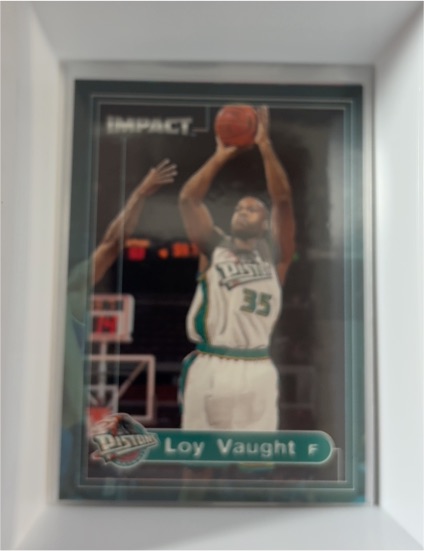1999-00 Skybox Impact #114 Loy Vaught — front