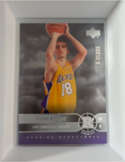 2004-05 Upper Deck R-Class #117 Sasha Vujacic — front