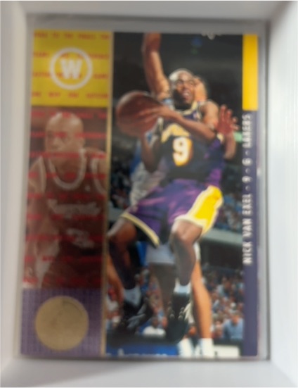 1994-95 Upper Deck SP Championship #13 Nick Van Exel — front