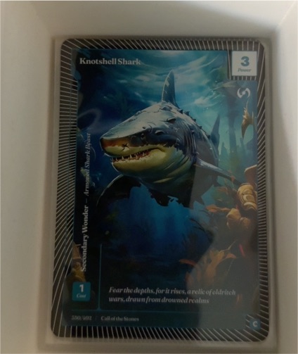 Call of the Stones 2025 #580-4021 Knotshell Shark — front