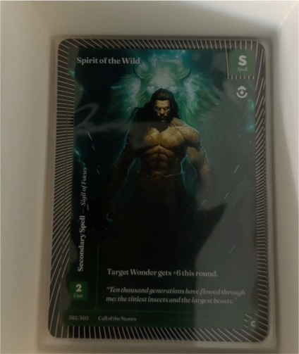 2025 Call of the Stones #582 Spirit of the Wild — front