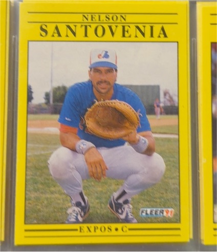 1991 Fleer #248 Nelson Santovenia — front