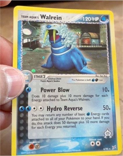2004 Team Aqua's Walrein 6/95 EX Team Magma vs Team Aqua — front