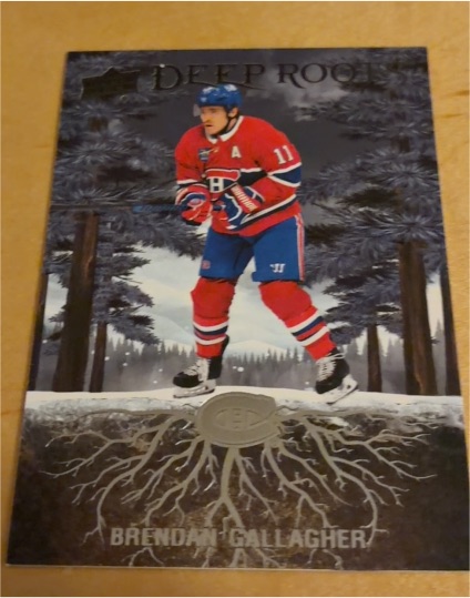 2023-24 Upper Deck Deep Roots #DR-25 Brendan Gallagher — front