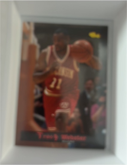 1993-94 Upper Deck #75 Vernon Maxwell — front