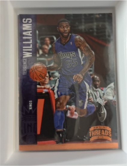 2012-13 Panini Threads #125 Terrence Williams — front