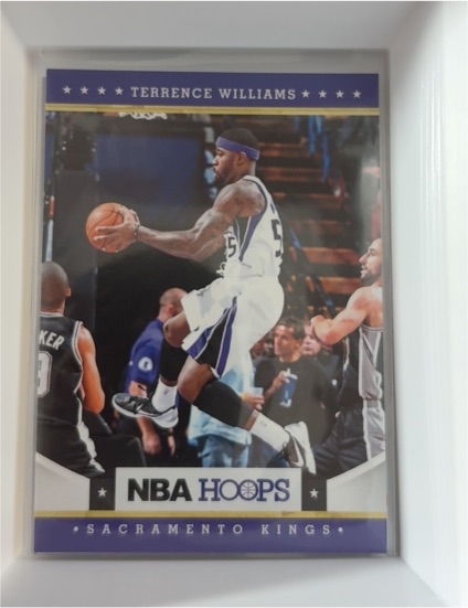 2012-13 Panini NBA Hoops #214 Terrence Williams — front
