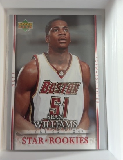 2007-08 Upper Deck First Edition Star Rookies #217 Sean Williams — front