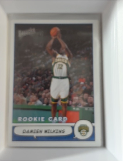 2004-05 Topps Bazooka #179 Damien Wilkins Rookie Card — front