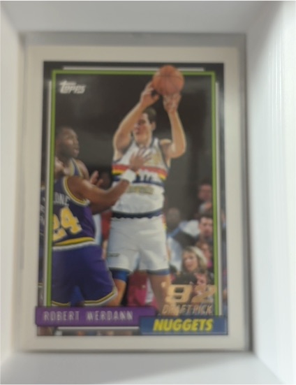 1992-93 Topps #394 Robert Werdann Denver Nuggets — front