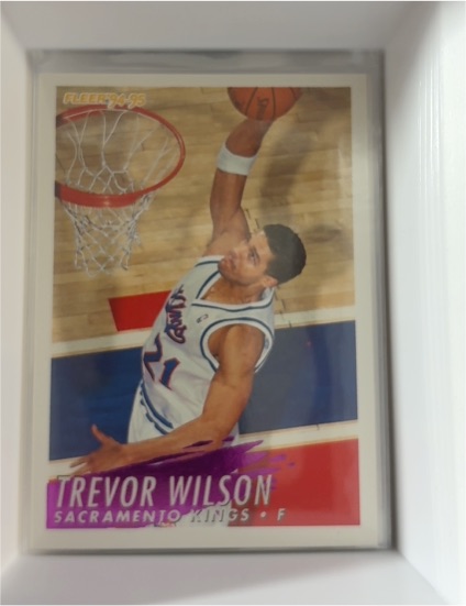 1994-95 Fleer #200 Trevor Wilson — front
