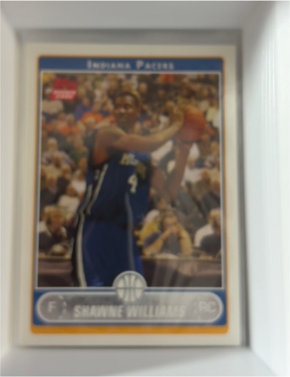 2006-07 Topps #222 Shawne Williams — front