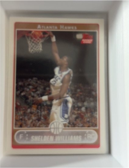 2006-07 Topps #218 Shelden Williams — front
