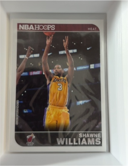 2014-15 Panini NBA Hoops #177 Shawne Williams — front
