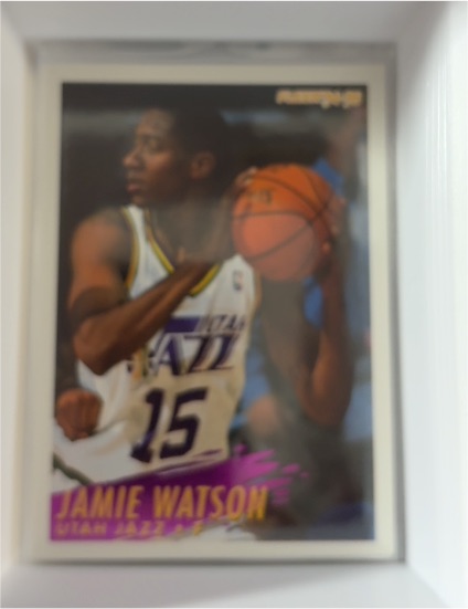 1994-95 Fleer #379 Jamie Watson — front