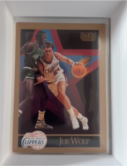 1990-91 SkyBox #133 Joe Wolf — front