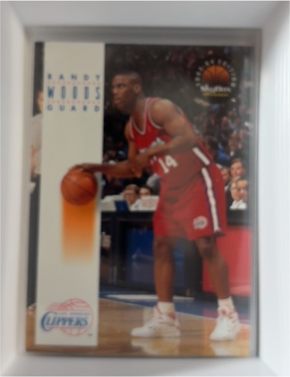 1993-94 SkyBox Premium #95 Randy Woods — front