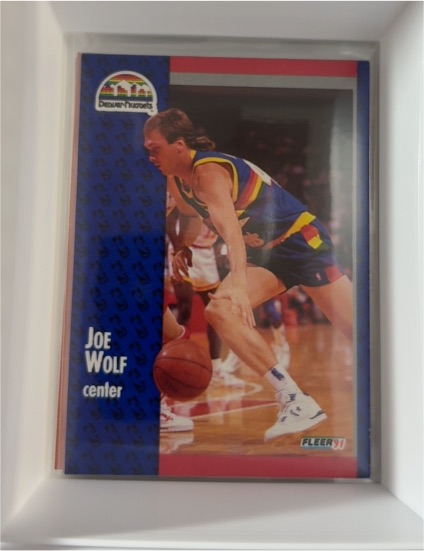 1991-92 Fleer #55 Joe Wolf — front