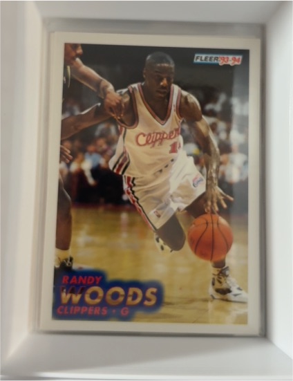 1993-94 Fleer #310 Randy Woods — front
