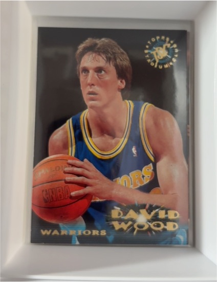 1995-96 Topps Stadium Club #203 David Wood — front