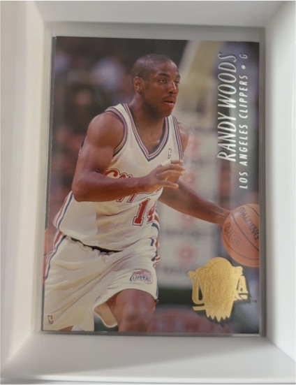 1993-94 SkyBox Premium #238 Randy Woods — front