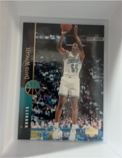 1994-95 Upper Deck #112 David Wingate — front