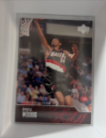 2003-04 Upper Deck #235 Qyntel Woods — front