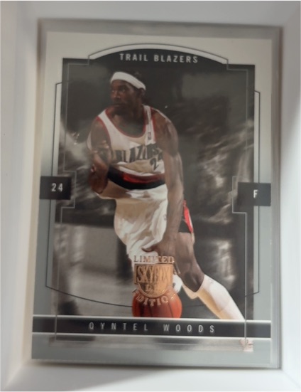 2003-04 SkyBox Limited Edition #107 Qyntel Woods — front