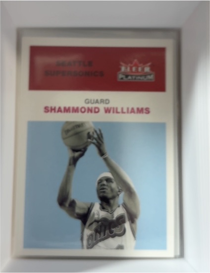 2001-02 Fleer Platinum #168 Shammond Williams — front