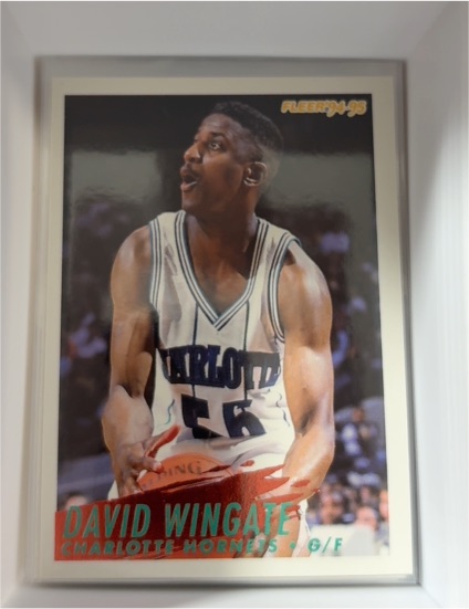 1994-95 Fleer #28 David Wingate — front