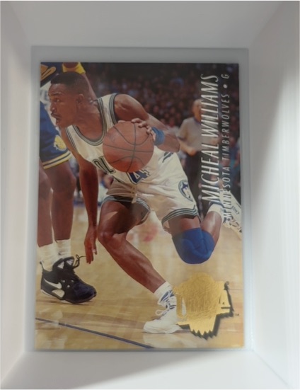1993-94 Upper Deck Special Edition #34 Micheal Williams — front
